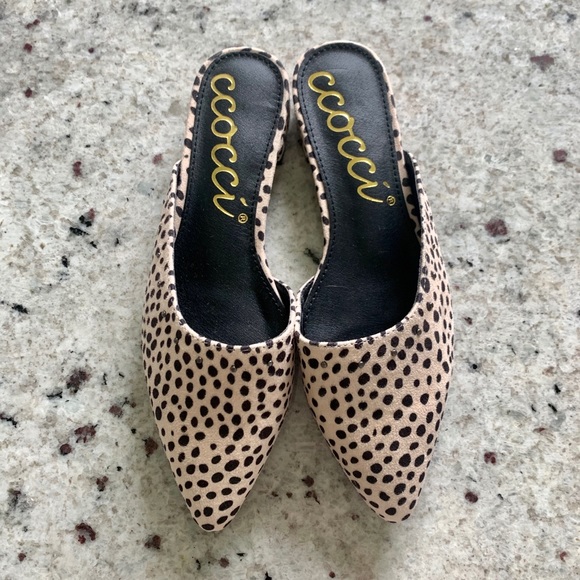 CCOCCI Shoes - Leopard Slides